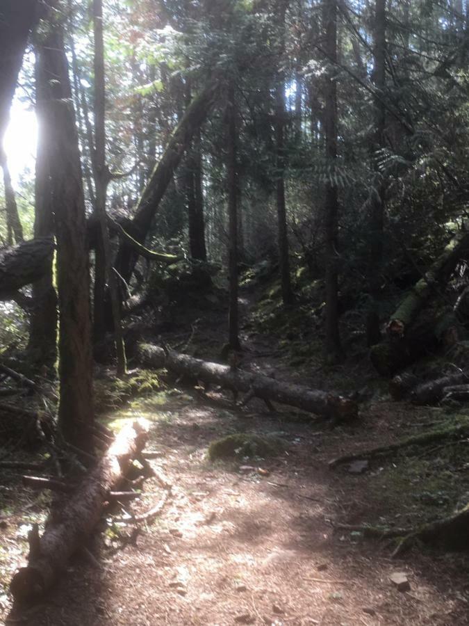 Oceanspray Hideaway Διαμέρισμα North Saanich Εξωτερικό φωτογραφία